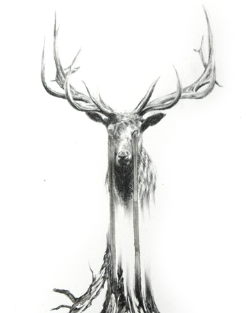 crying stag - detail - Rachel Goodyear