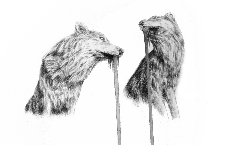 drooling wolves - drawing detail