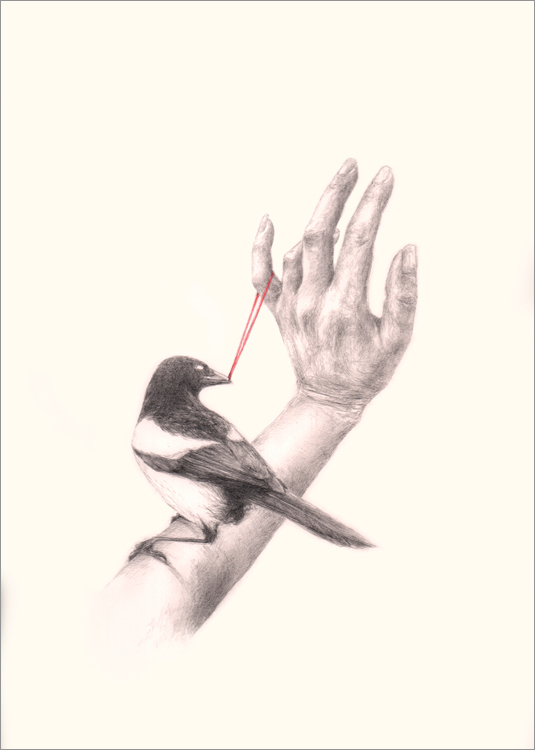 Bird and Hand 2 by Rachel goodyear
