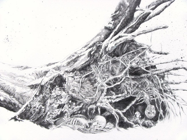 fallen tree detail