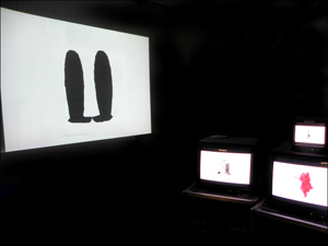 ANIMATION INSTALLATION