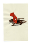 boy with stag