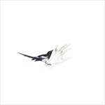 magpie on hand