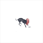 dog distracted