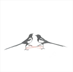two magpies