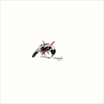 bird with broken wings