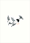 boy feeding pigeons