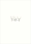 stags with dark eyes