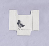 hooded crow