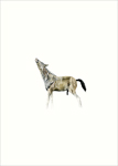 lonely pony (quagga)
