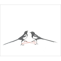 cv