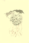 1 of 9 nature notes - spores