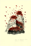 1 of 9 nature notes - spores